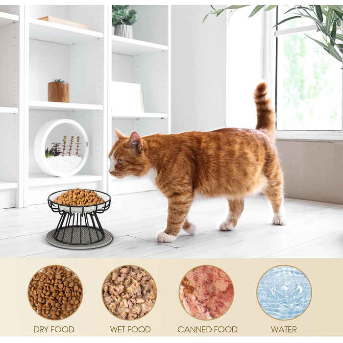 Підвищені годівниці для котів 2 шт. з металевим стійкою, силіконовою підкладкою, керамічні миски для котів та маленьких собак