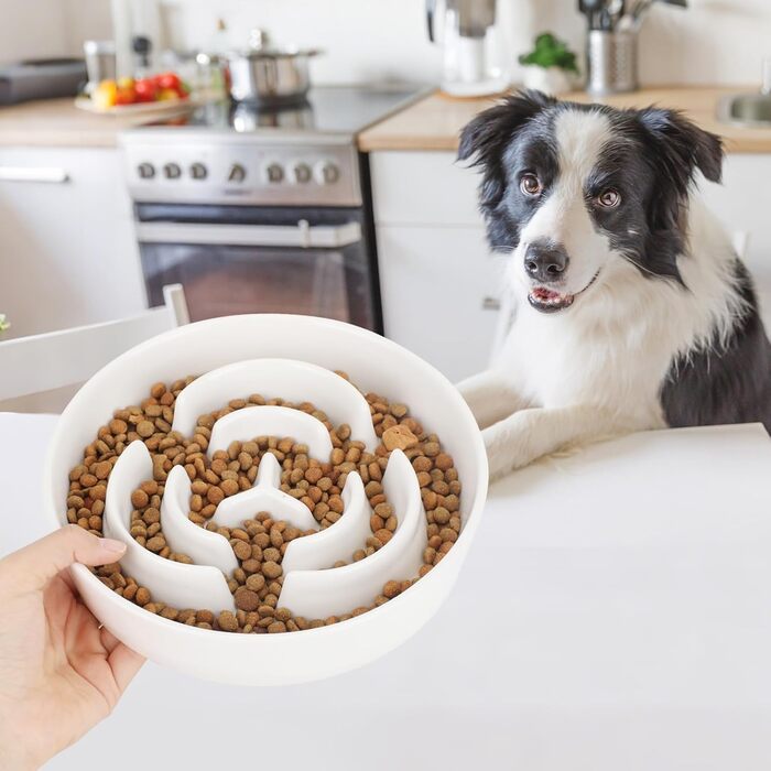 PETTOM Миска для собак протиковтання, кераміка, Ø 21 см, для великих та малих собак, Slow Feeder, білий