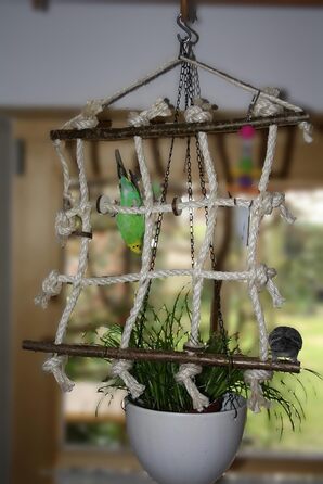 Іграшка для папуг Vogelgaleria 3 в 1: лазіння, сидіння, гризіння, з сизалю та натурального дерева, аксесуар для хвилястих папуг
