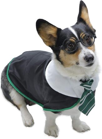 Сорочка для собак на Хелловін Impoosy: костюм кота-чаклуна, мила та м'яка сорочка з окулярами (розмір M, обхват шиї 35,6 см), чорний