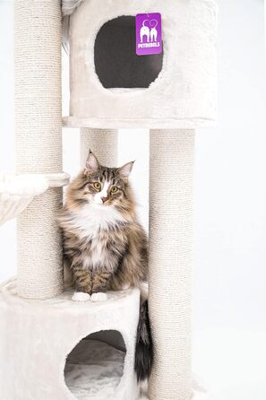Дерево для котів Petrebels Charlotte 180 см, преміум якість, з гамаком та товстими стовбурами Ø12 см, бежевий/кремовий