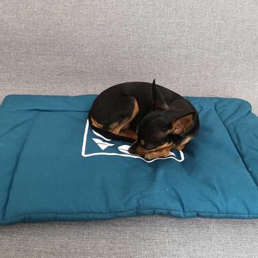 Портативна лежанка для собак Univok, килимок для собак, миється, блакитно-зелений колір