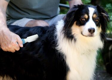 LovinPup професійний тример для видалення ковтунів у собак і котів, делікатний догляд за шерстю, підходить для всіх типів шерсті