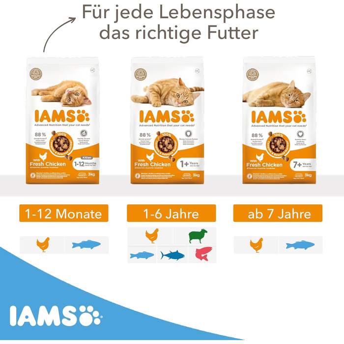 Сухий корм для кошенят IAMS з морською рибою, для віку від 1 до 12 місяців, 3 кг