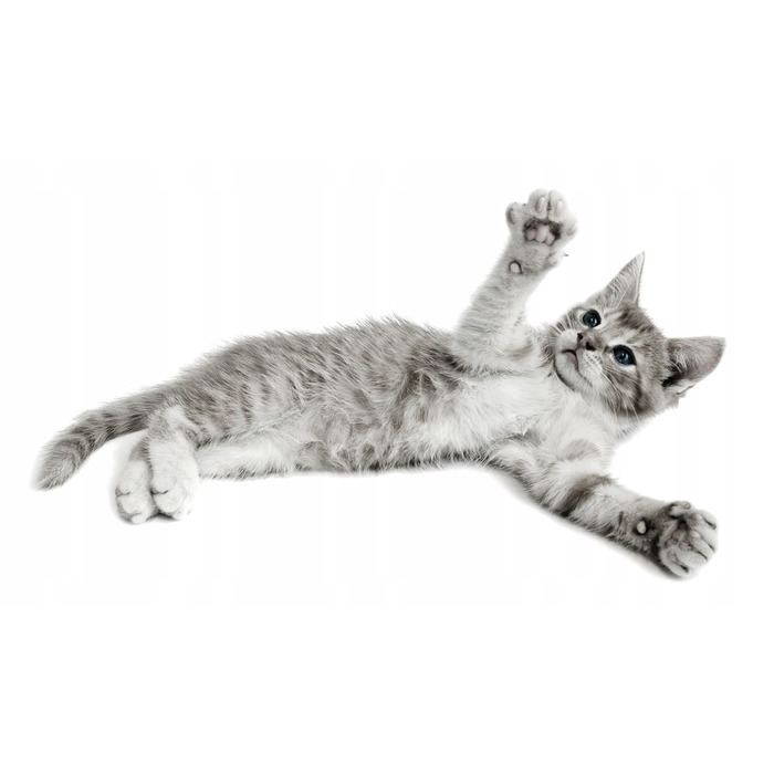 Лоток-туалет для котів ZUMA SECOND LIFE ECO, синій, італійська преміум-якість