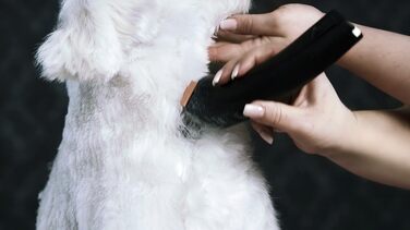 Машинка для стрижки собак Rotschopf24 Edition Arco Pro: акумуляторна, для професійного використання, з чохлом. 44204 (1 акумулятор)