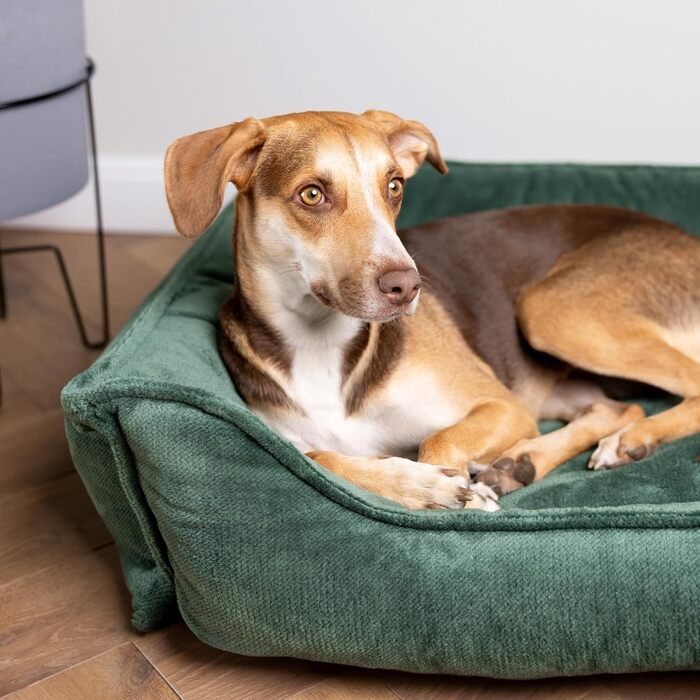 Ортопедичне ліжко для собак 4L Textil IRIS Premium-LINE, корзина для собак, м'яке ліжко з піною Memory Foam (80x60 см, L 60 x B 40 x H 15 см, зелений, знімний чохол)