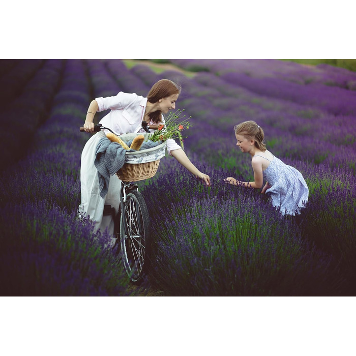 Фарбований плетенний кошик для велосипеда e-wicker24 1126-42, 42x36x24 см, медовий колір