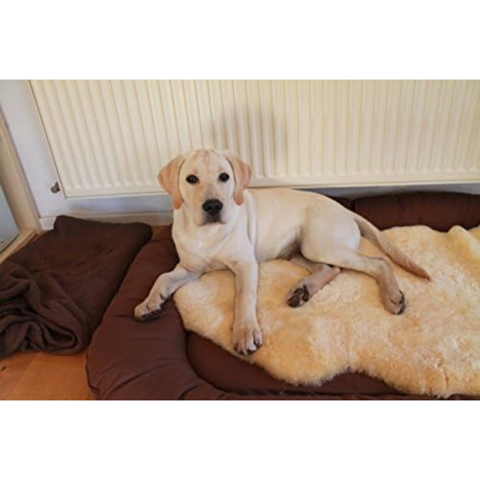 Шкіряний лежак для собак та котів Merino-Lammfell, X-Large, 100 см. Медична обробка, легко миється (30°C). Німецька якість.