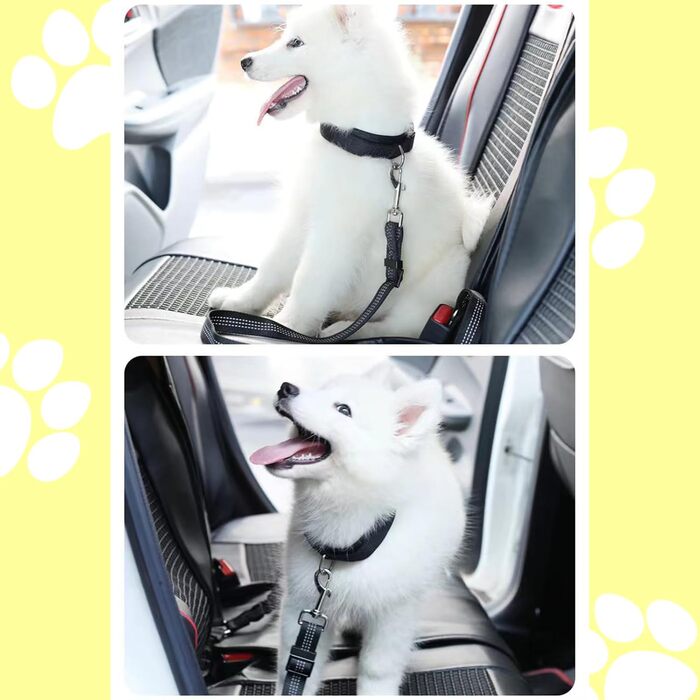 Авторемень для собак у машину, еластичний двосторонній, регульований (чорний)