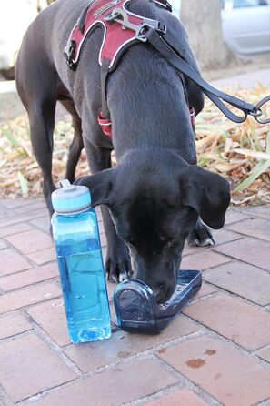 Пляшка для води OllyDog OllyBottle 600 мл, для тварин, синя