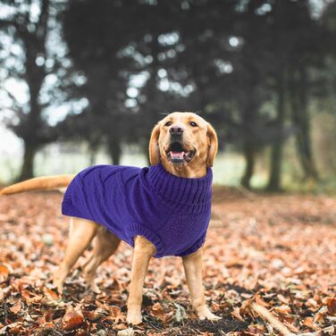 Пуловер для собак середніх порід Queenmore, м'який та теплий, фіолетовий, розмір M