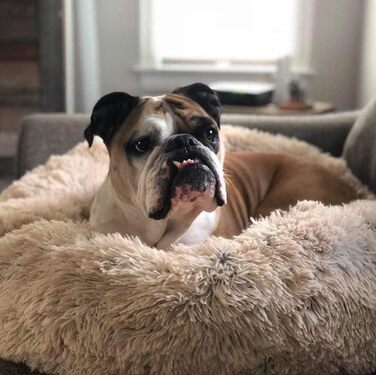 Ортопедичне ліжко для собак XL: кругла, миюча модель для великих і середніх порід. М'яке, кушетка для собак з ефектом пам'яті, антистрес, колір - світло-коричневий, діаметр - 70 см