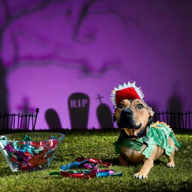 Костюм для собак на Halloween: крокодил-динозавр, теплий зимовий костюм-комбінезон, розмір L (8,2–18 кг), зелений