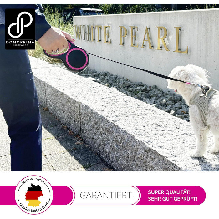 Нашийник для собак DOMOPRIMA: міцний, безпечний, 3 розміри (S, M), 4 кольори (сірий, блакитний, зелений, рожевий)