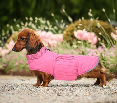 Водонепроникна зимова куртка для такс Babepet з флісовою підкладкою, світловідбиваючий пуловер з отвором для шлейки, розмір L (M(спинка:36см), рожевий)