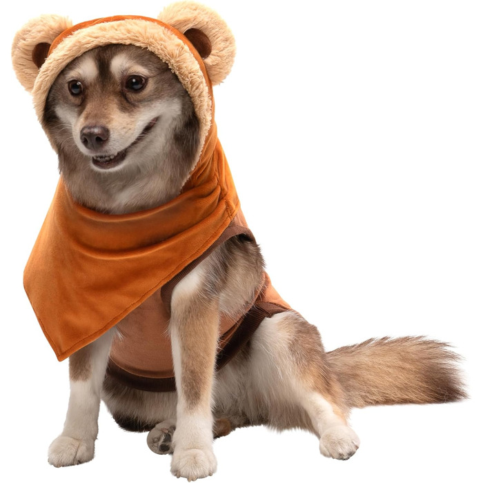 Худі-костюм 