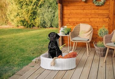 Крісло-ліжко для собак Greemotion з білого поліротангу з подушкою, 85 x 25 x 75 см