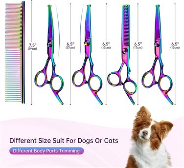 Набір ножиць для грумінгу собак 6-в-1: прямі, зігнуті, для стрижки та розрідження шерсті