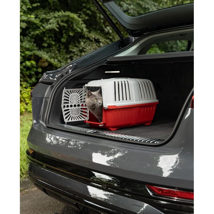 Транспортний бокс для собак Lionto з міцного переробленого пластику, 55x36x36 см, з практичним замком та ручкою, підходить для котів та дрібних тварин, для тварин до 15 кг, сірий