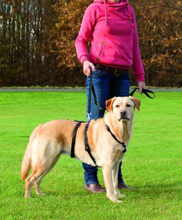 Миска для собак Trixie Stay L-XL, 75-100 см, 25 мм (Чорний)