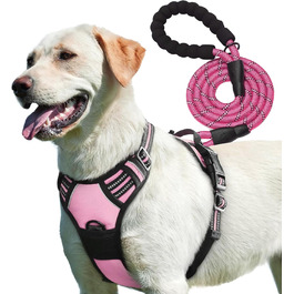 Регульована шлейка для собак PetBuds, з повідцем 1,5 м, дихаюча та міцна, для всіх порід, рожева, розмір M
