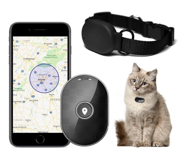 GPS-нашийник-локатор для собак та котів, керування через додаток, без абонплати та прихованих платежів