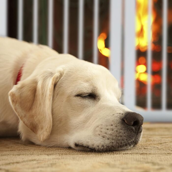 Захисне ворота Relaxdays, самостійно стояче, 92 x 205 см, розкладне, з ніжками, для собак та котів, біле