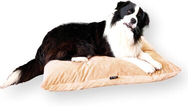 4L Textil ZOE: Лежанка для собак великих порід, 60x50 см, колір капучино (імітація велюру), знімний чохол на блискавці