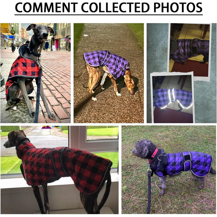 Водонепроникний теплий зимовий дощовик для собак породи Віндгаунд/Лурчер/Вхіпет, з флісовою підкладкою, червоний, розмір S (довжина спини 51-53 см)