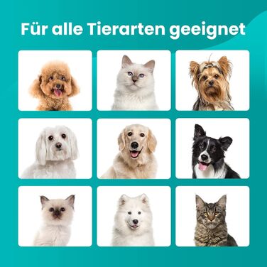 Машинка для стрижки собак HICHEE з пилососом, 13 kPa, професійний набір для грумінгу домашніх тварин, тиха машинка для собак та котів, 6 інструментів