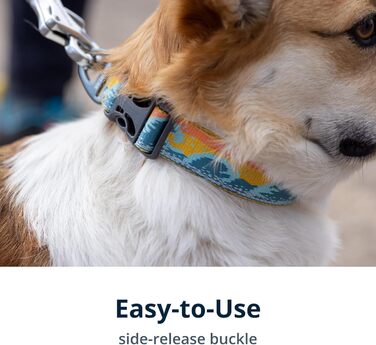 Нашийник для собак Ruffwear Crag, середній, 36-51 см, з алюмінієвим кільцем V, регульований, м'який, преміум-якість, для повідка