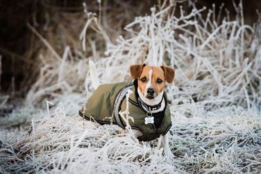 Датський дизайн: водонепроникний дощовик для собак з флісовою підкладкою, відбиваючими елементами, 30.5 см (хакі, 28 x 16 x 1 см)