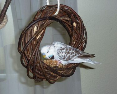 Два смачні дерев'яні кільця з лози для папуг, хвилястих та корел; плетіння з лози. Іграшка для птахів у клітку, вольєр. Ігровий майданчик для птахів для підвішування. 2 дерев'яні кільця 2.0