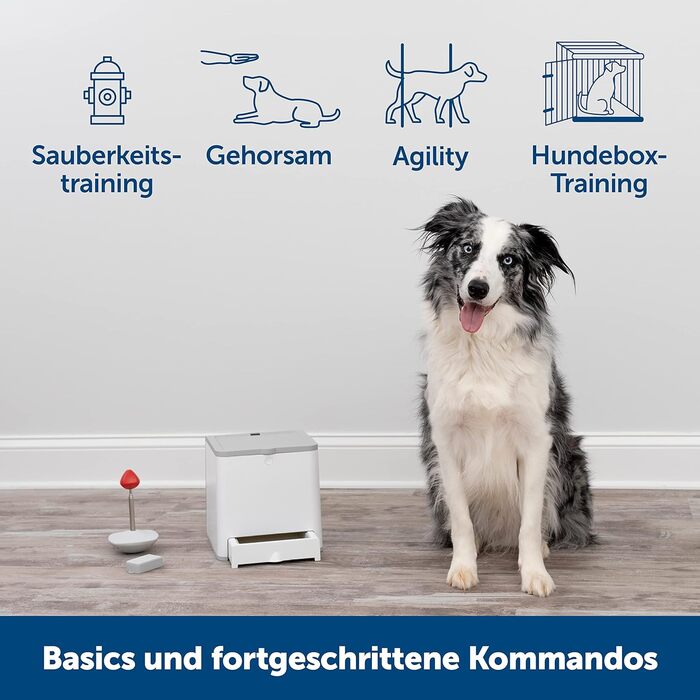PetSafe Teach & Treat – дистанційний тренер для собак, автоматична видача ласощів, для навчання та позитивного підкріплення, сірий, працює від 4 батарейок D
