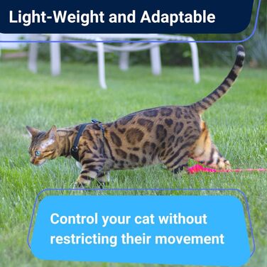 Шлейка та поводок Houdini™ для котів, набір для прогулянок Bengal, розмір M, м'яка сітчаста тканина