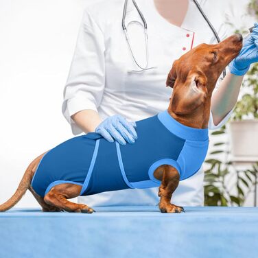 Захисний одяг для собак після операції Kuoser M – Дихаючий захисний костюм для сук та песиків, альтернатива електронному нашийнику, блакитний (34-41см;49-59см)