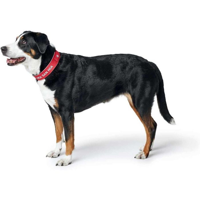 Нашийник для собак Hunter Neopren Reflect FC Bayern München, сірий (червоний, S-M (45))