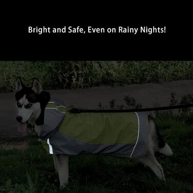 Водонепроникний дощовик для собак, регульований, з відбиваючими смугами та капюшоном, для прогулянок на відкритому повітрі, для маленьких, середніх та великих собак (зелений, XXL)