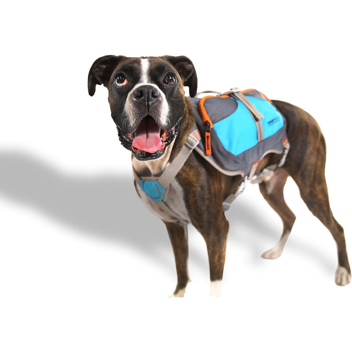 Рюкзак для тварин Cesar Millan Blue & Grey