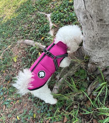 Водонепроникна тепла куртка для собак, зимовий одяг для маленьких, середніх та великих собак, підходить для Лабрадорів, Чихуахуа, Французьких бульдогів. Зелений (L (4.5-6.5 кг), фіолетовий)