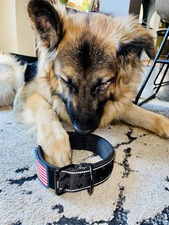 Нашийник для собак K9, тактичний військовий стиль, 5,1 см, міцна нейлонова амуніція для великих порід, з нашивкою прапора США, чорний, розмір 50,8-71,1 см
