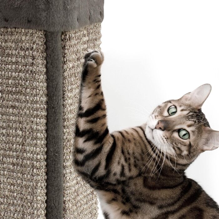 Драпак для котів Arquivet Eckkratzer сірого кольору, 12x12x49 см - великий вертикальний драпак, аксесуари для котів, точилка для кігтів