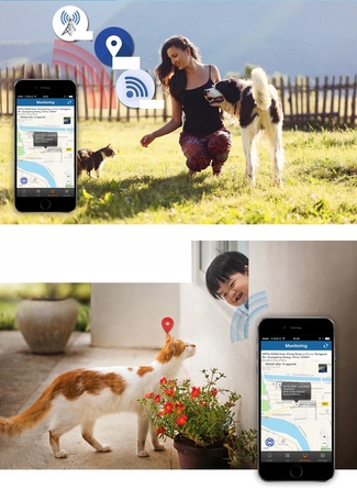 GPS-нашийник локатор TK911 для собак та котів з підтримкою SOS та мобільного додатка