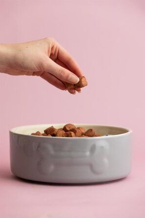 Миска для собак Mason Cash Colour Mix сірого кольору, 20 см, 1 шт.