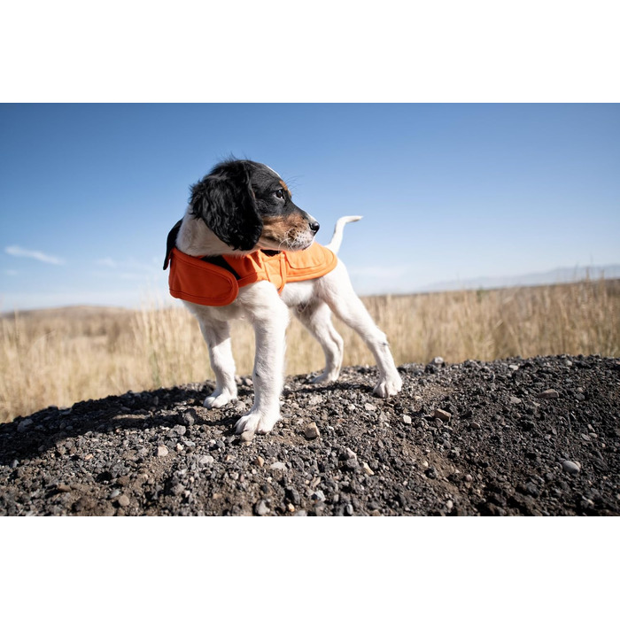 Куртка для собак Carhartt Firm Duck Insulated XL Hunter Orange/Messing