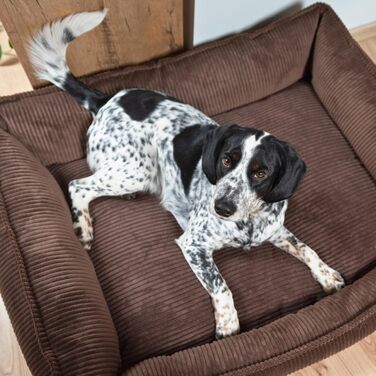 М'яке собаче ліжко 4L Textil Hugo Premium-LINE: ортопедичне, з memory foam, 60x40 см, для маленьких собак