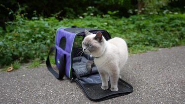 Транспортна сумка для котів та собак Brave Paws, міцна, зручна, дихаюча, з безпечним замком та складною мискою (фіолетова)