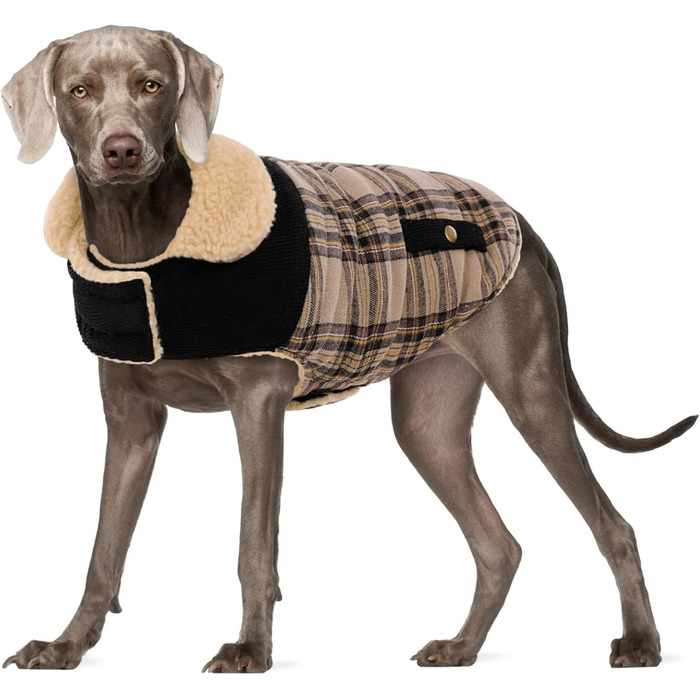 Зимова куртка для великих собак, вітронепроникна, для холодної погоди, одяг для тварин, куртка від снігу, для Голден Ретрівера, Лабрадора, Хаскі, Бежева, XL X-Large