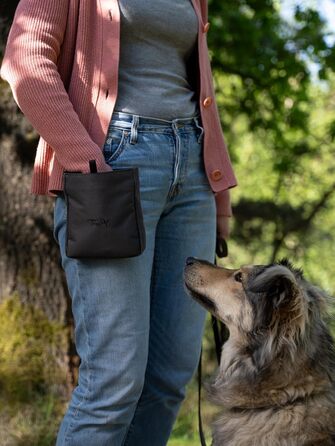 TrendPet Сумка для ласощів для собак, 3 кольори (сірий)